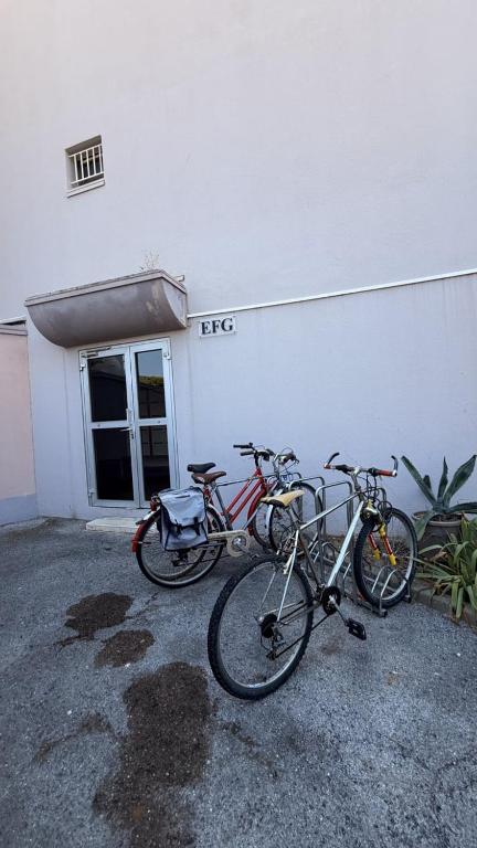 L'écume Bleue Studio 50m des plages Vue Mer, Wifi & Parking - 2