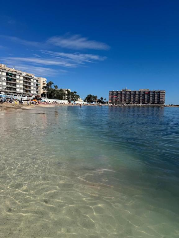 La Casa Datskovi Beach Apartments - 5