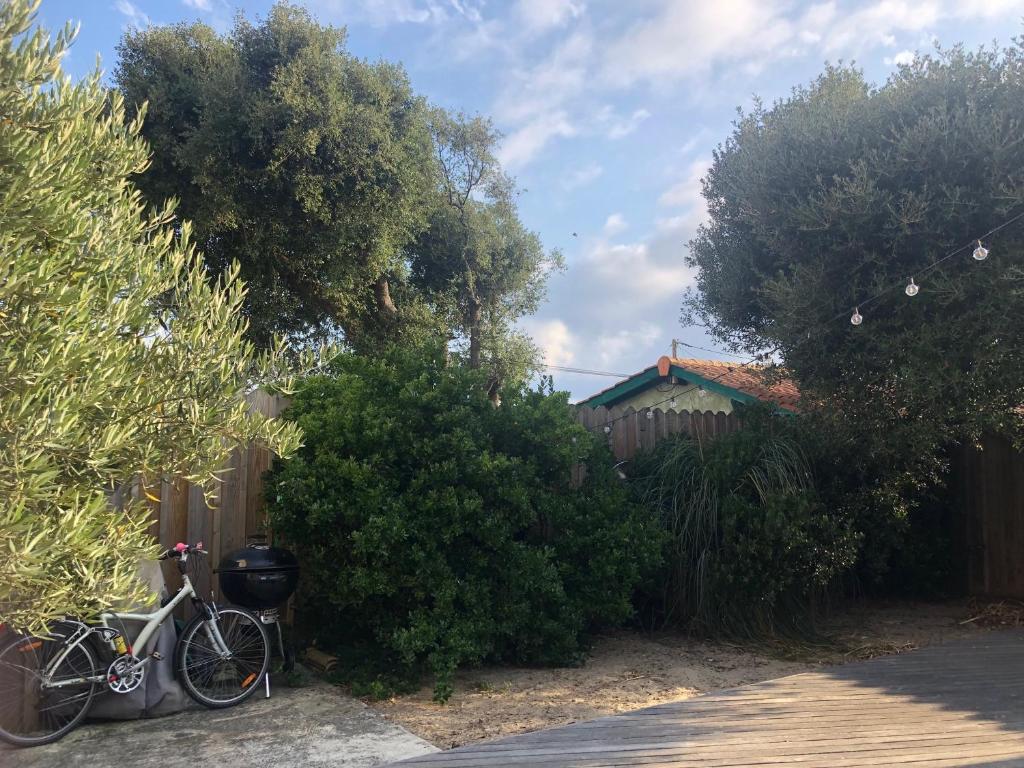 Villa Maude & Jean - 2