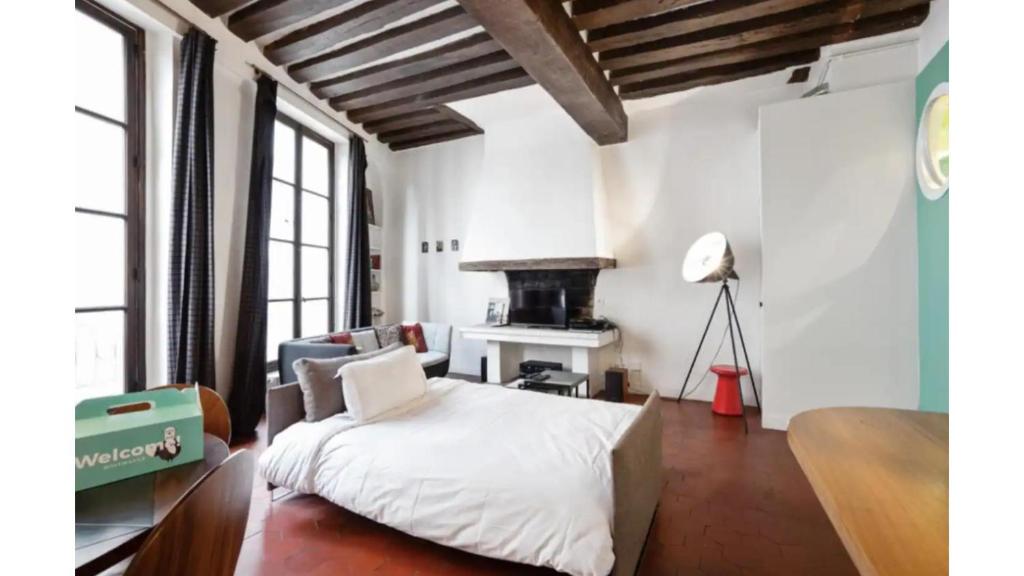 Parisian Apartment With Terrace in Saint Michel-Notre Dame - 3