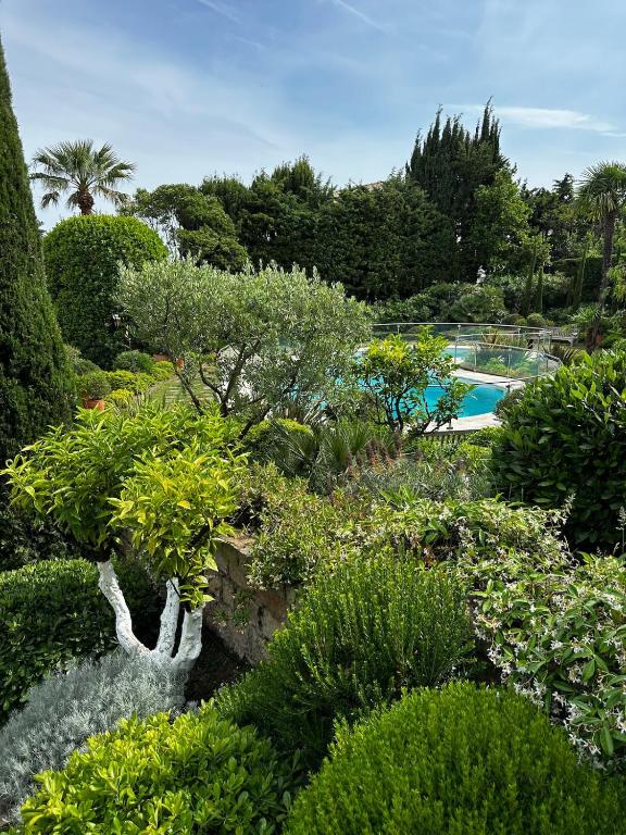 Elegant studio with terrace and lush garden - 5