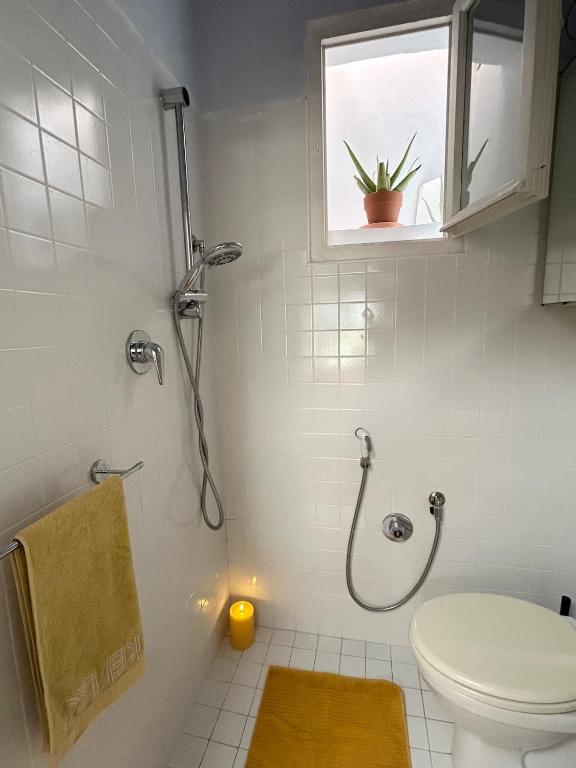 Garden studio in Livorno old town by sea & ferry - 4