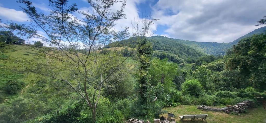 Sarramea Jungle Retreat - 2
