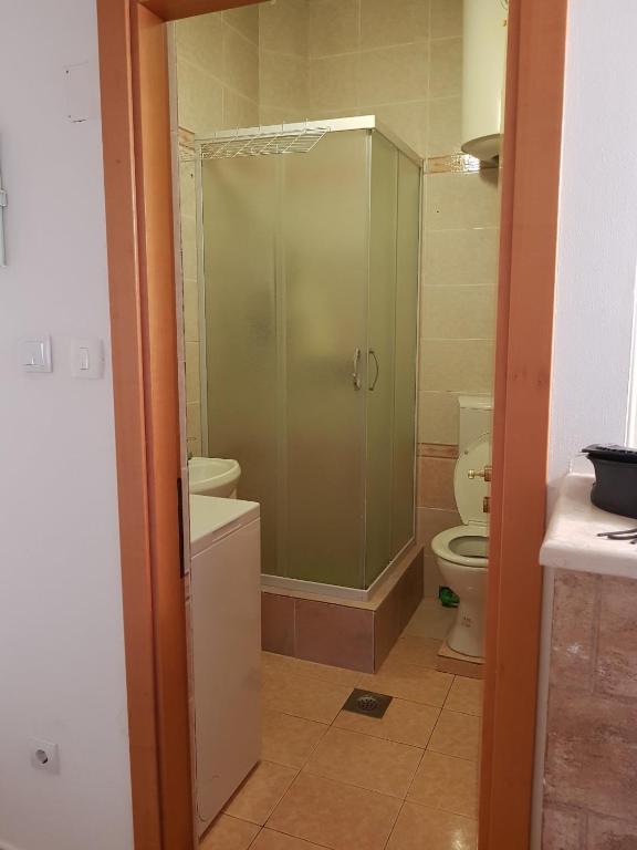 Apartman maslina - 5
