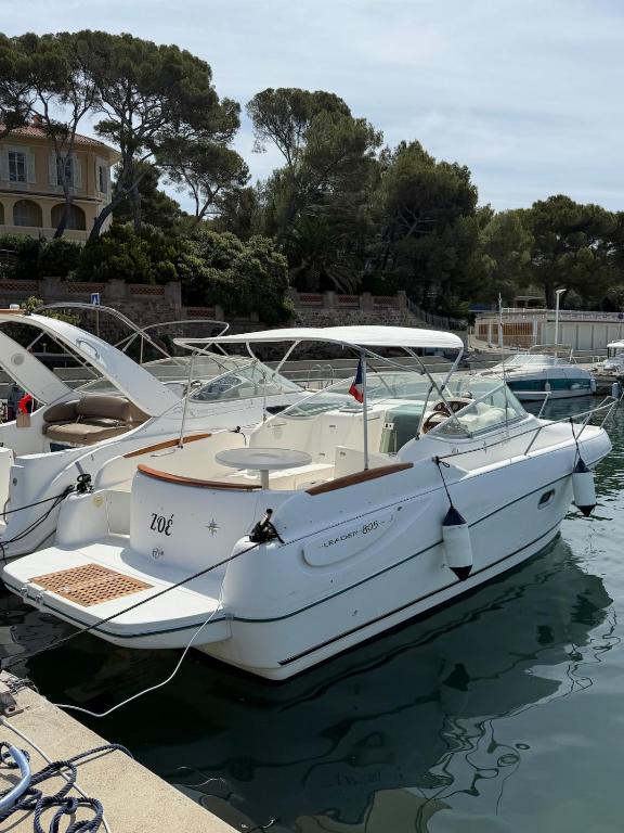 Unique experience on a boat in Saint-Raphaël - 5