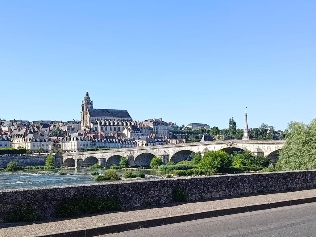 Escale tranquille en bord de Loire, joli cocon rénové, bien situé, fauteuil massant - 5
