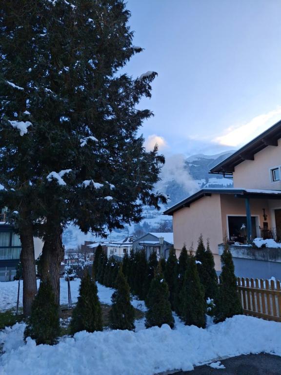 Apart Ritzl - 3