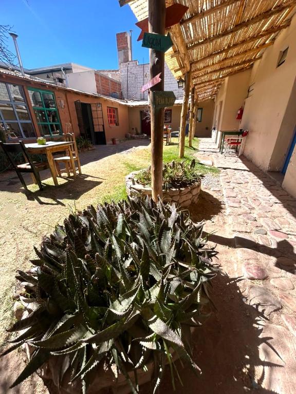 Hostal Humahuaca - 1