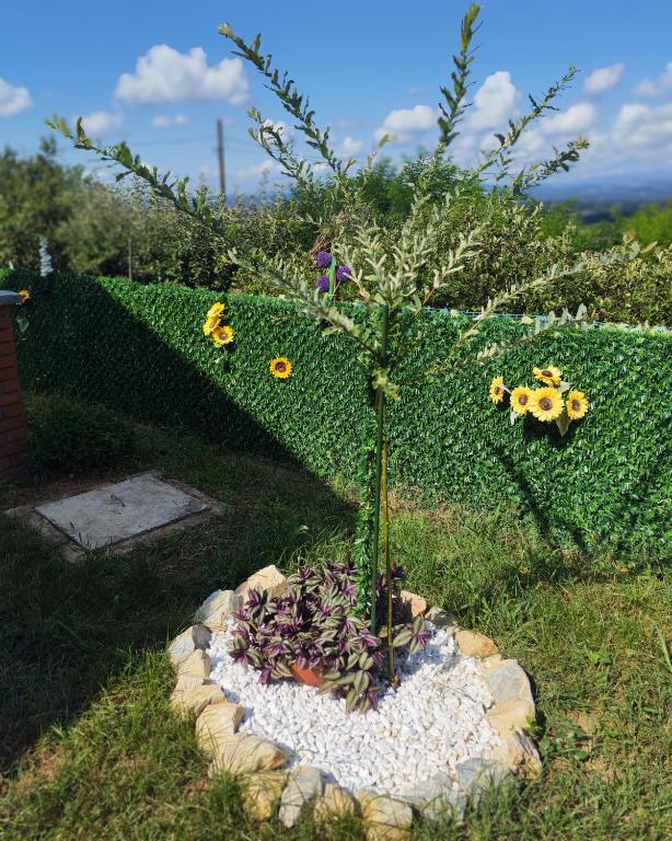 Dedinje, ul Zorana Mitrovića 22 - 4