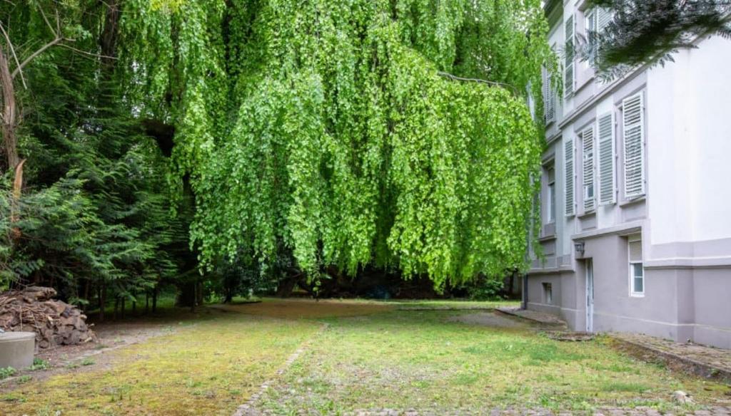 DeLuxe Studio, Parking Privé Free, Naturellement Frais, MULHOUSE CENTRE - 2