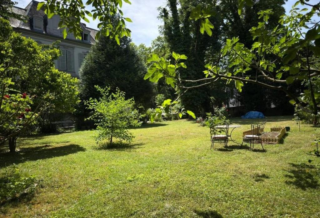 DeLuxe Studio, Parking Privé Free, Naturellement Frais, MULHOUSE CENTRE - 4