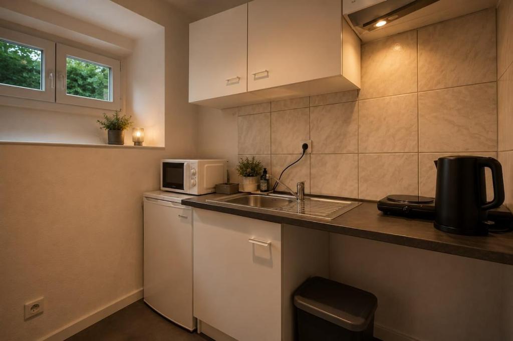 DeLuxe Studio, Parking Privé Free, Naturellement Frais, MULHOUSE CENTRE - 5