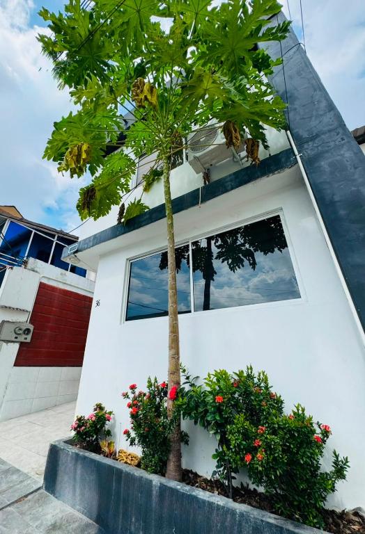 Alojamiento en Guayaquil - House in Guayaquil - 2