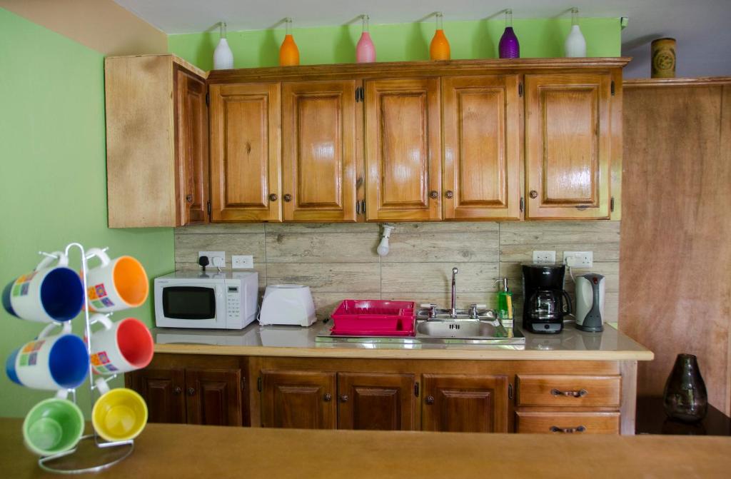 Kitchen, Matthew's Miracle View in Roseau