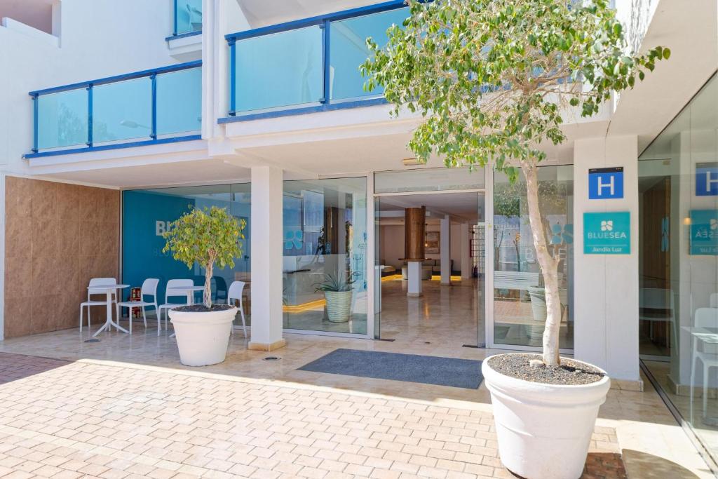 BLUESEA Jandia Luz - 3