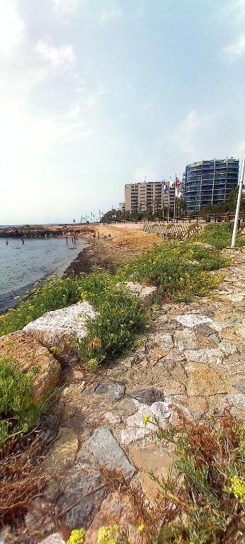 Sea Senses Paradise - 4