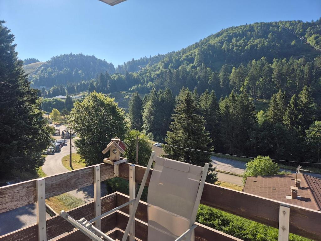 Le Refuge Bressois - 4-person ski studio in La Bresse - 3