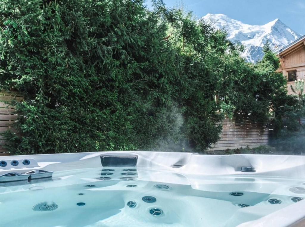 Elegant Garden Apartment in Central Chamonix - 1