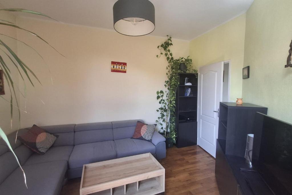 Appartement 42m proche parc Blandan et Rhône - 1