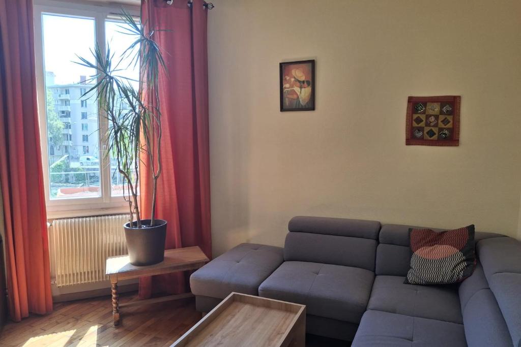 Appartement 42m proche parc Blandan et Rhône - 2