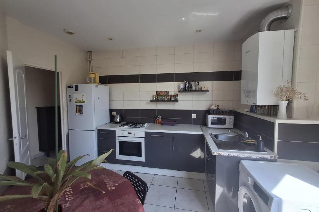 Appartement 42m proche parc Blandan et Rhône - 3