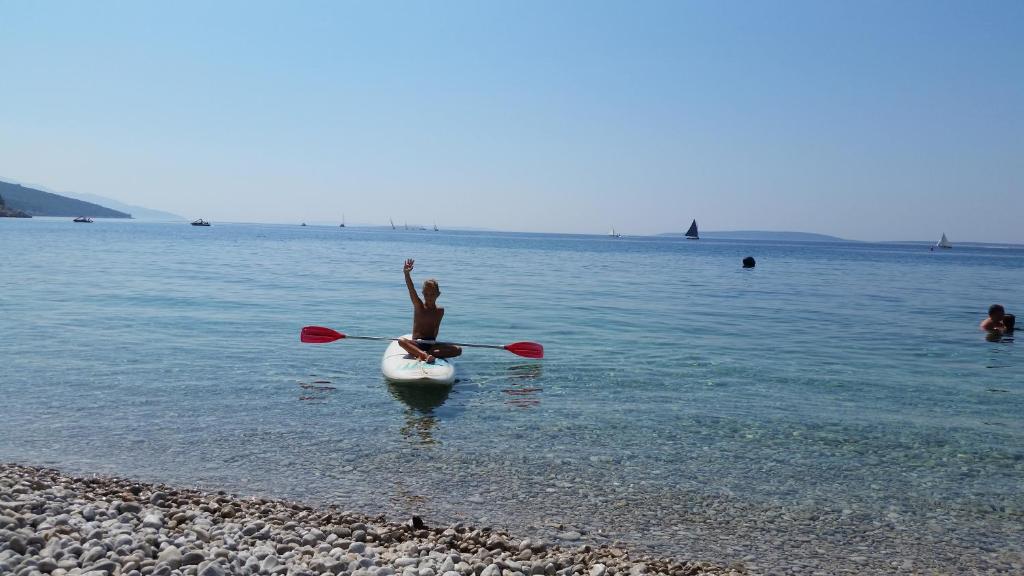 Hotel Zlatni Lav photo