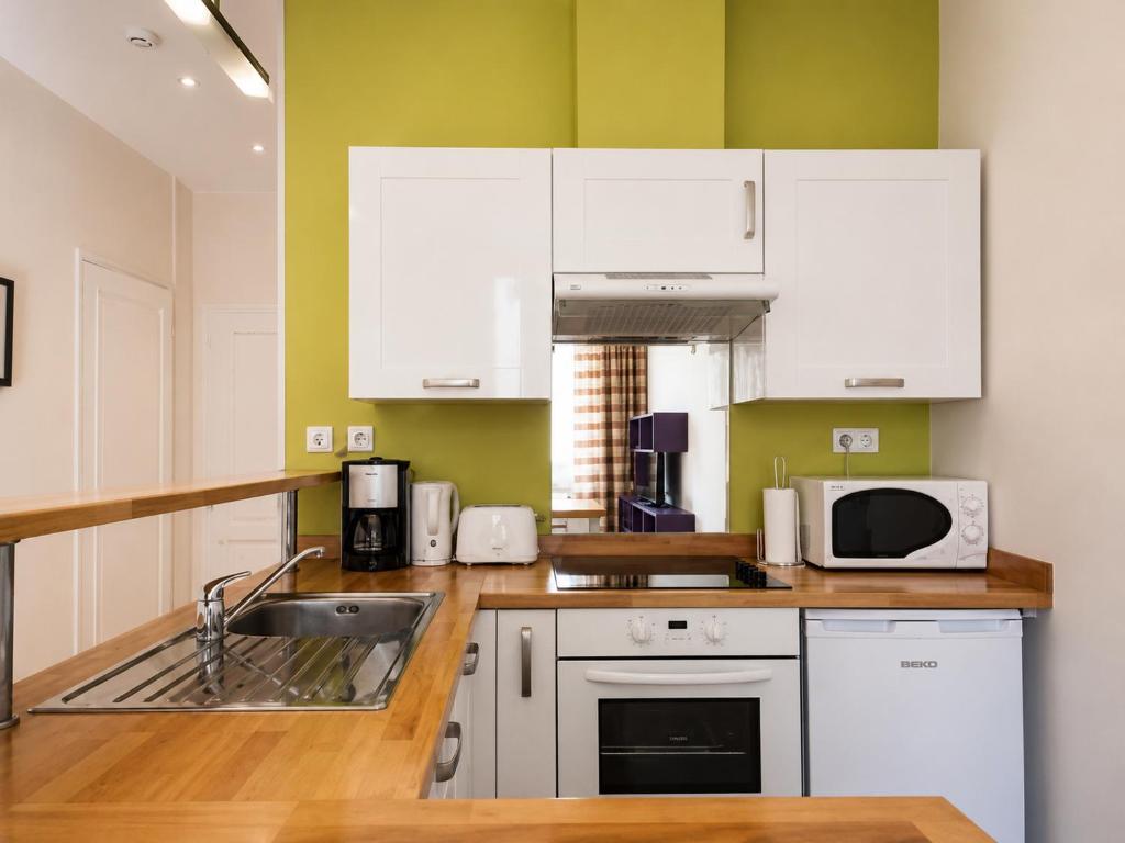 Barla 3 - a spacious one bedroom apartment near Place Garibaldi - 5