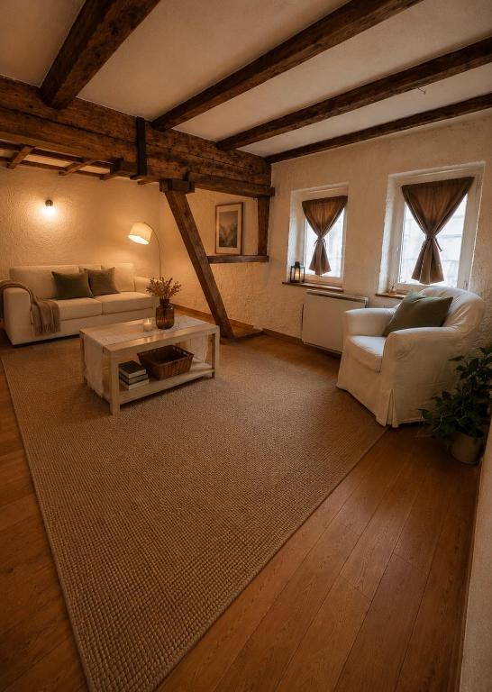 The Chalet - in the heart of Metz - 2