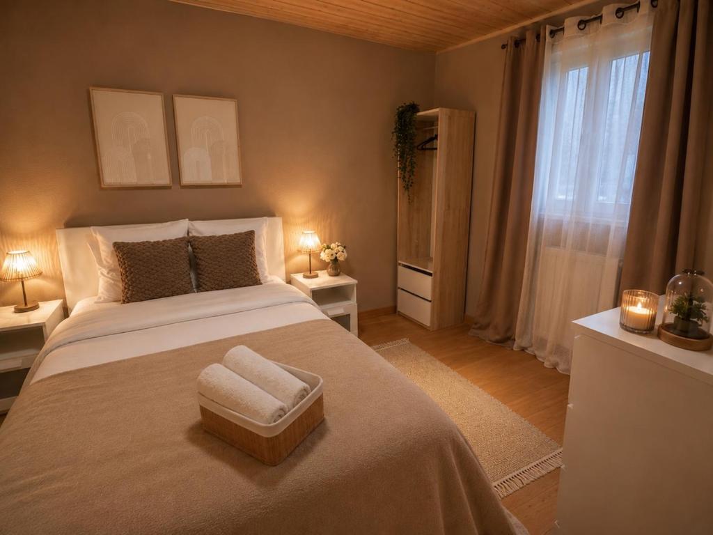 The Chalet - in the heart of Metz - 4