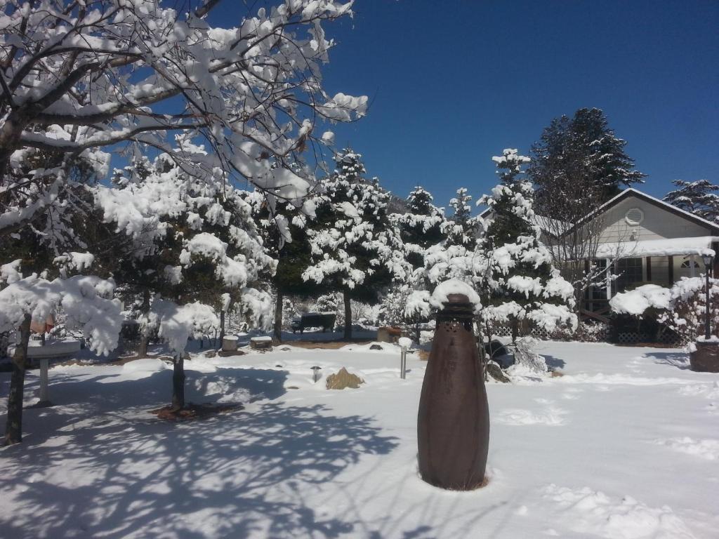 Surrounding environment