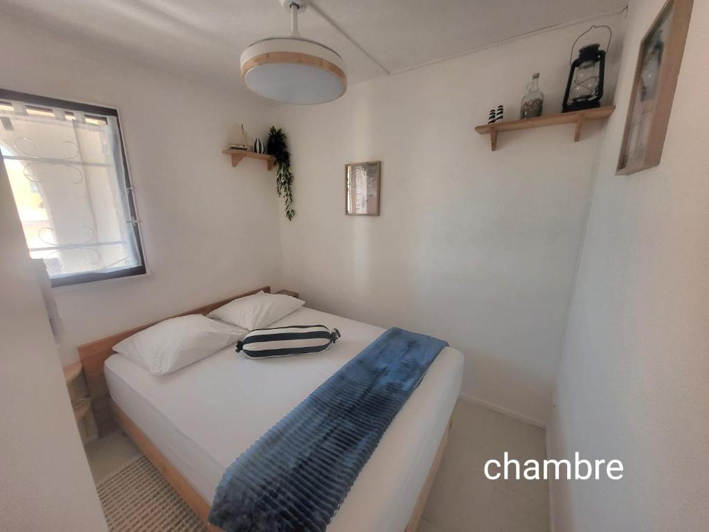 grand studio 1chambre - 2