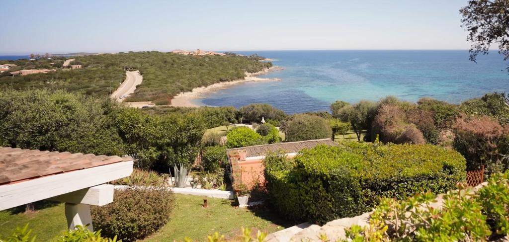 Villa Eugeni near Porto Rotondo - 1