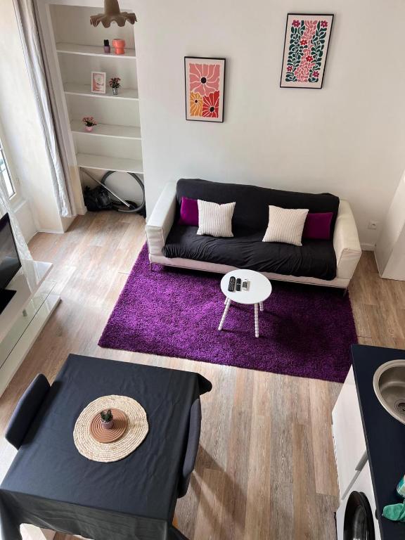 Studio Mezzanine - Clim Balcon - centre ville - 3