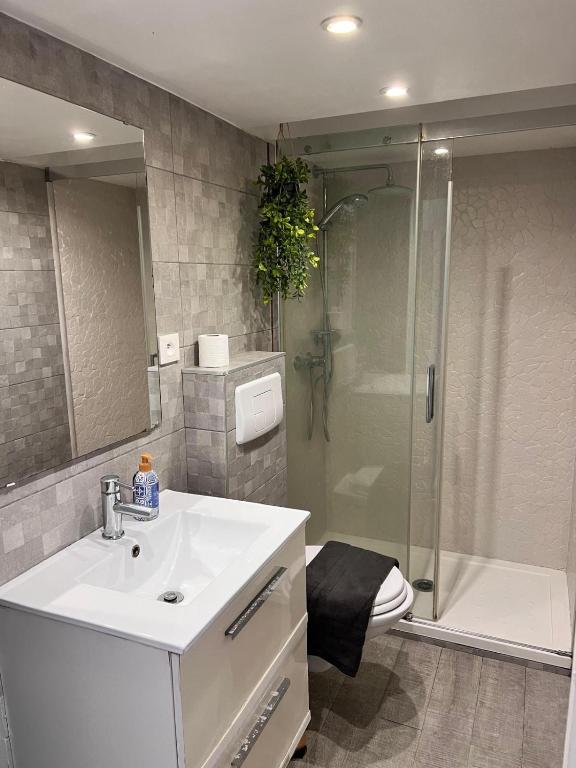 Studio Mezzanine - Clim Balcon - centre ville - 5