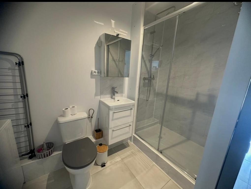 Appart T2 4 pers 50 m de la mer avec piscine - 5