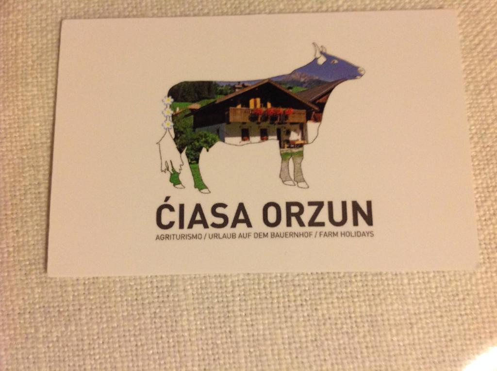 Ciasa Orzun - 5