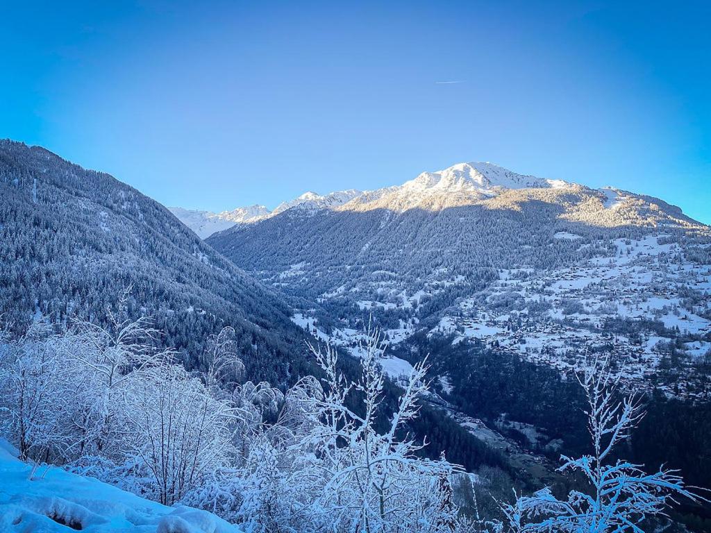 Chalet Pomone - Jardin, Soleil et Vue Alpine - 3