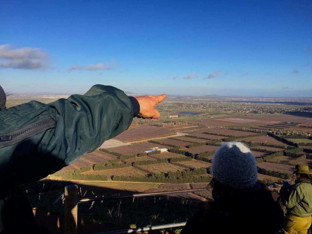 Surrounding environment