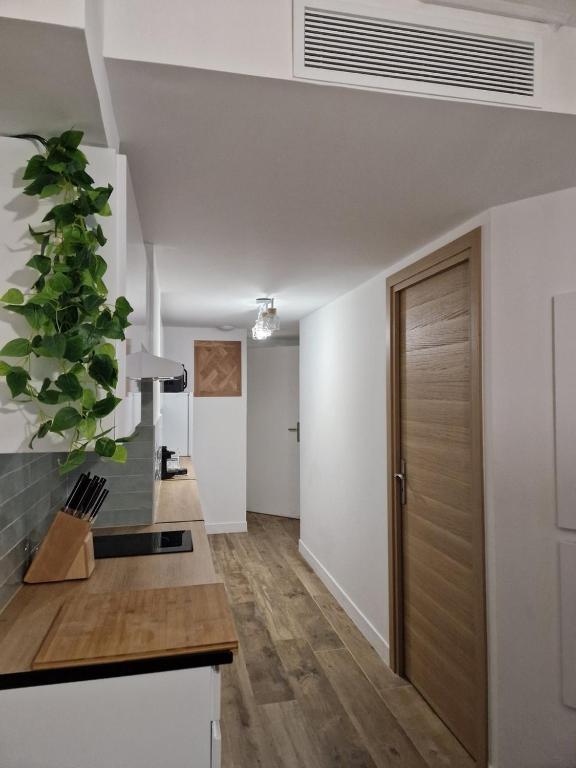 CARNOT T2 - Appartement Cannes 4P - 5