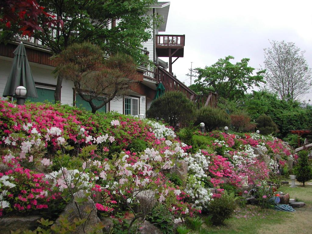 Surrounding environment