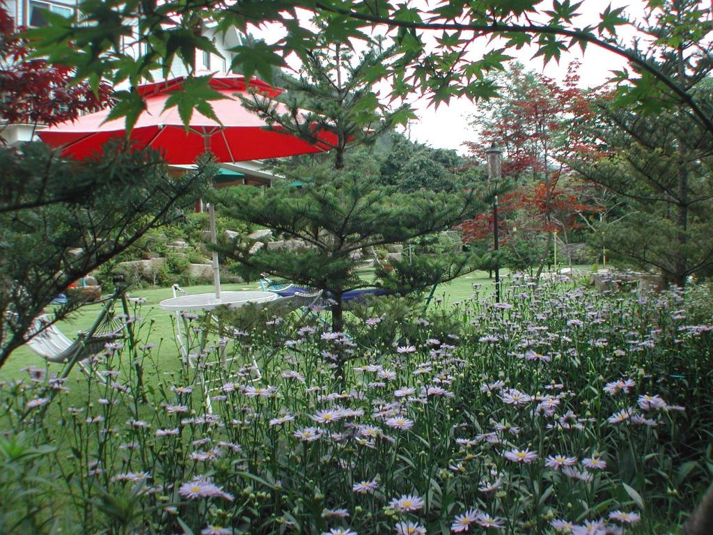 Surrounding environment