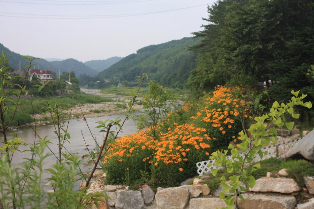 Surrounding environment