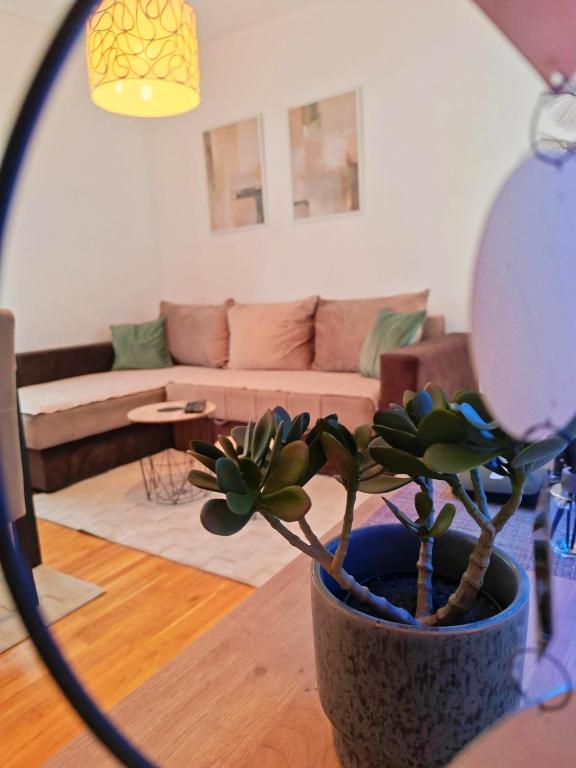 Apartman Stojanović Zlatibor - 1