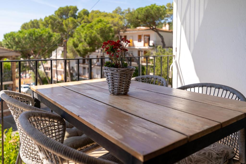 Refurbished apartment calella de pal. beach 250mts - 5