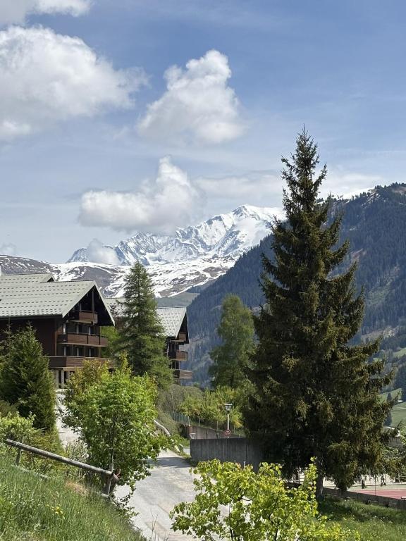 Chalet du Rocher - 3