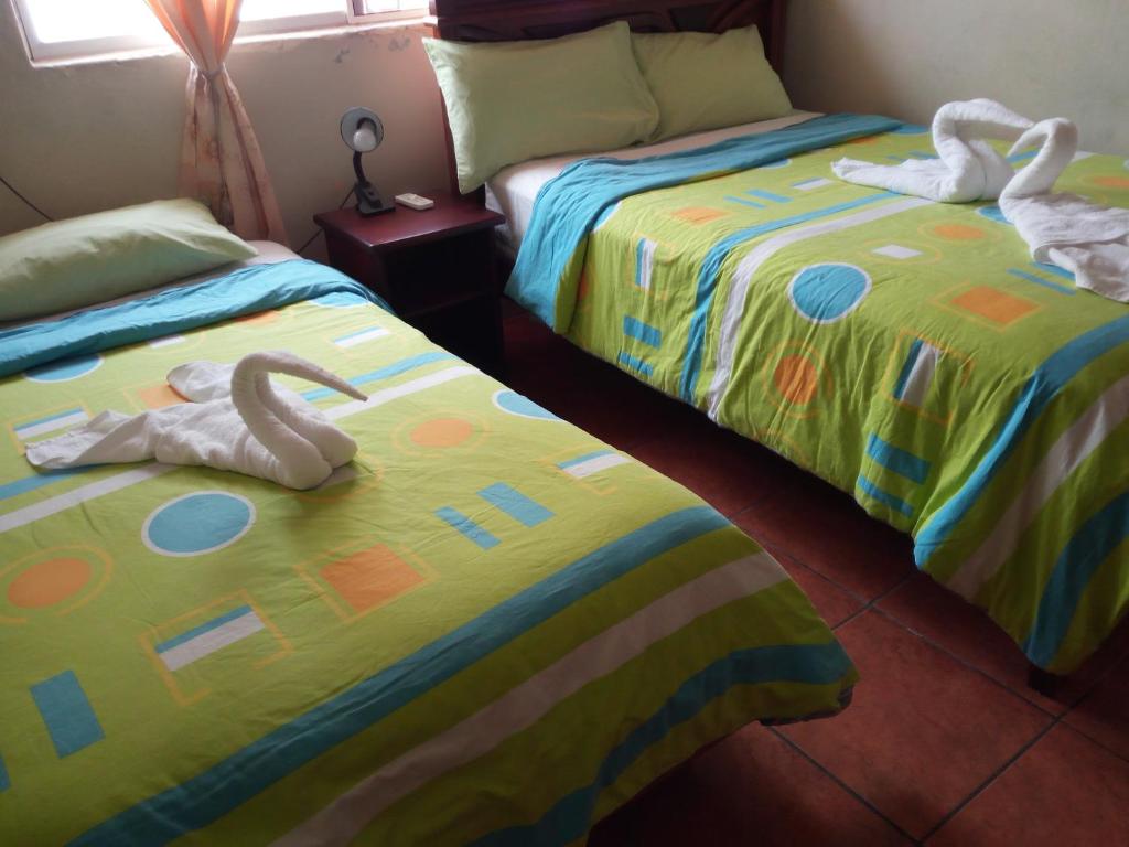 Hostal Miconia - 4