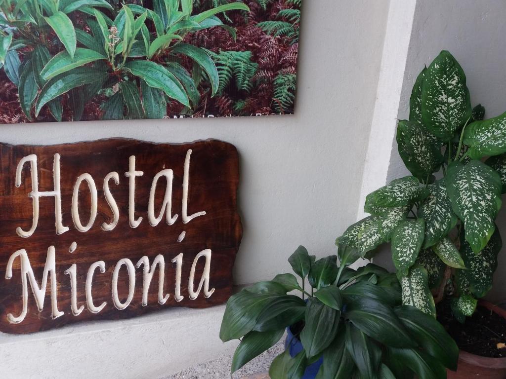 Hostal Miconia - 1