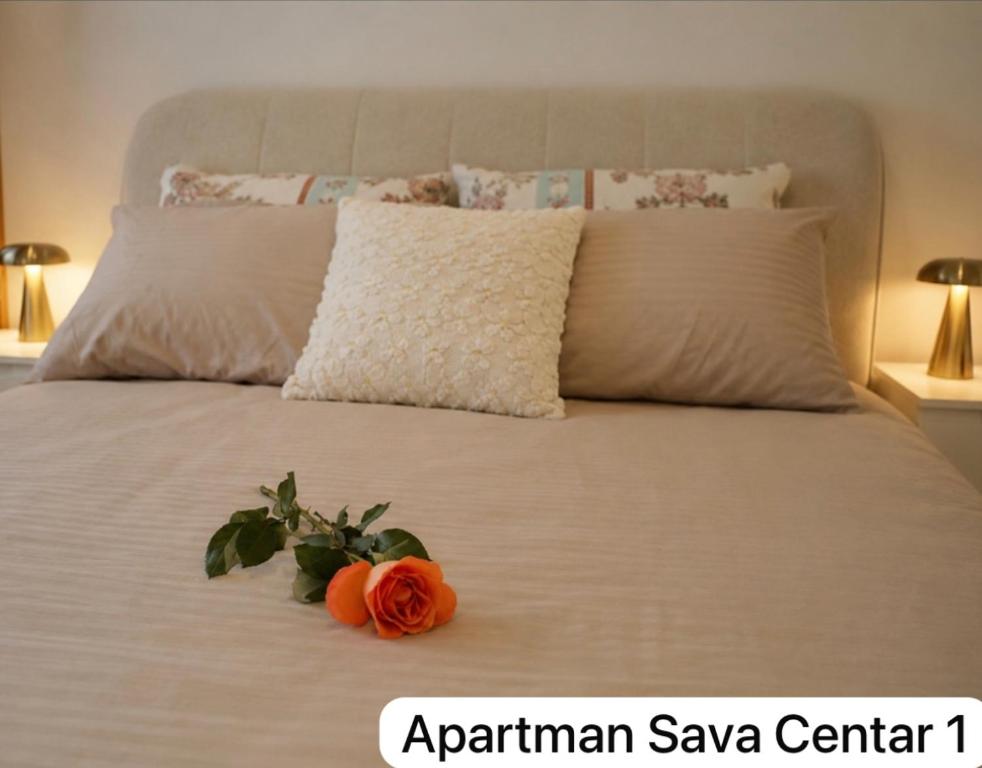Apartman Sava Centar 1 i 2 - 4