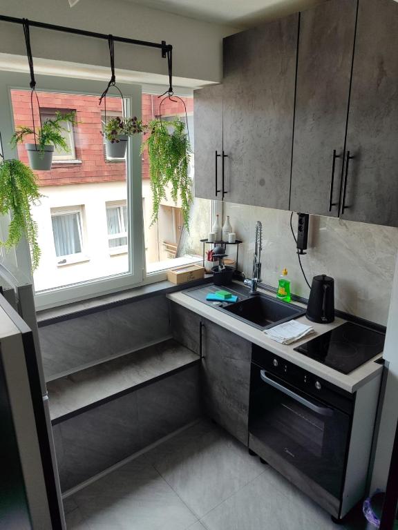 Lea Lux apartment Tuzla - 5