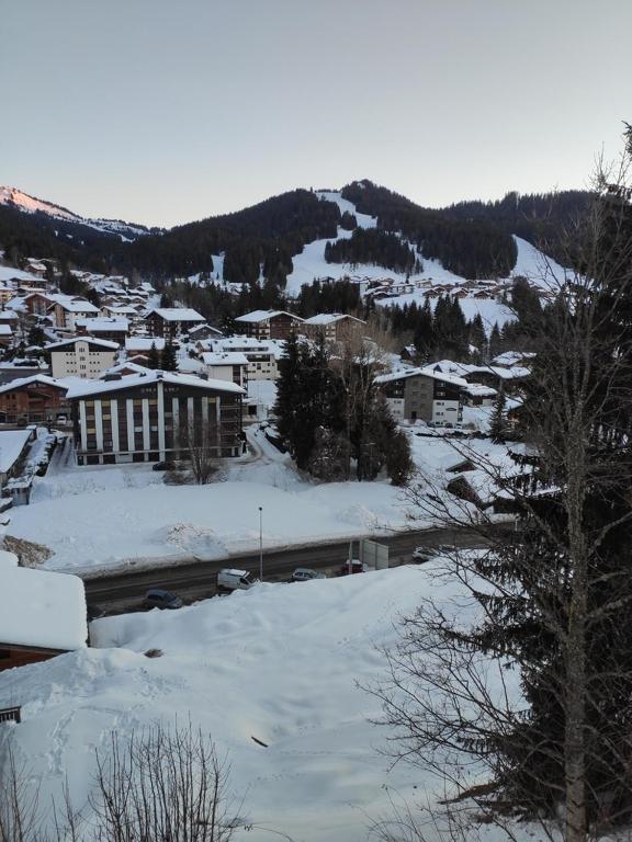 Lovely Ski Chaalet with great views - 3